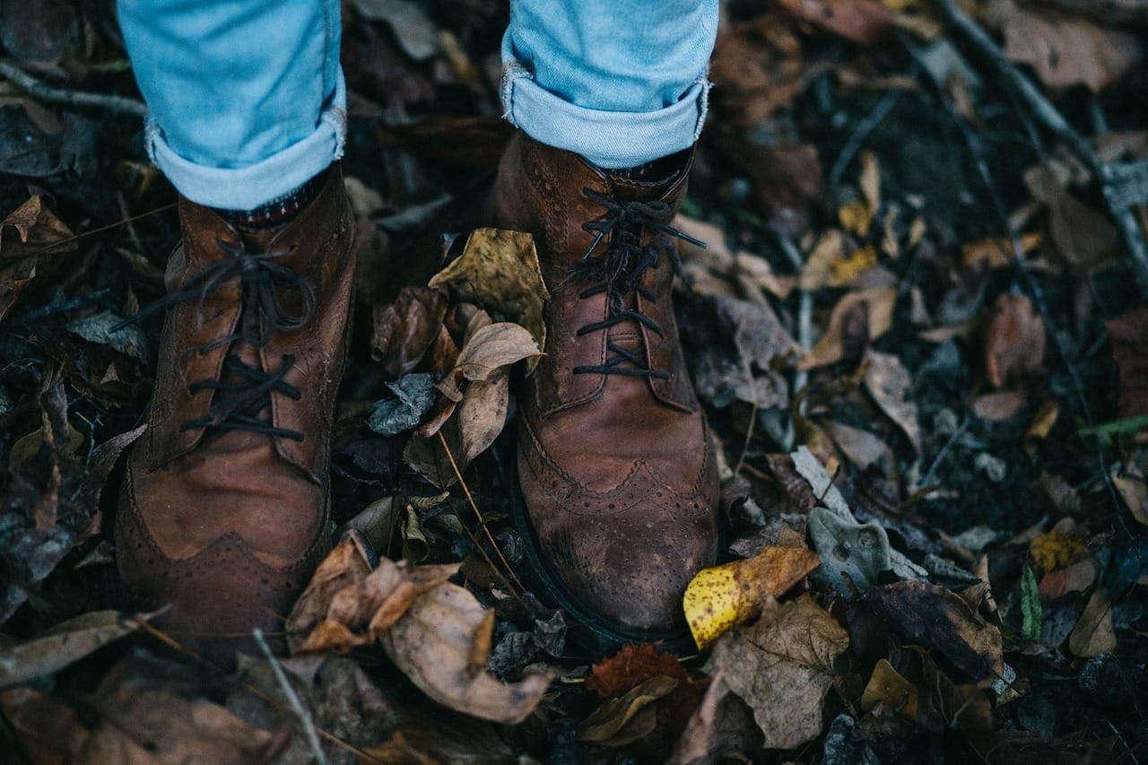 fall, leather shoes, feet-1870012.jpg